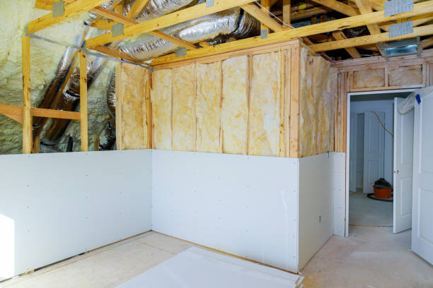 Best Eco-Friendly Insulation in Summerfield, NC